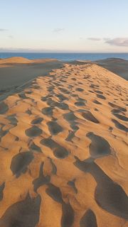 GC-Dunas de Maspalomas sunset 2026-135.jpg